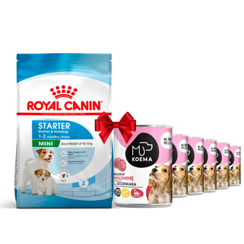 Royal Canin Mini Starter Mother & Babydog 8kg + Koema Junior Mischung aus 3 Geschmacksrichtungen 6x400g