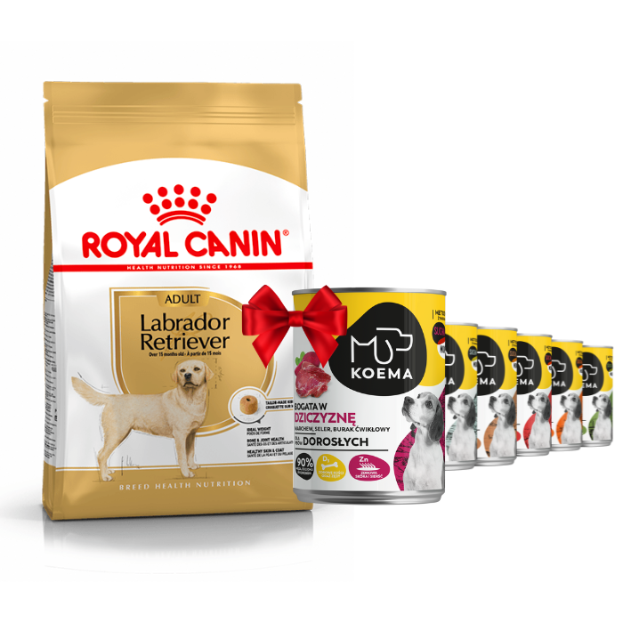 Royal Canin Adult Labrador Retriever 12kg Koema 90 Fleisch Mischung aus 6 Geschmacksrichtungen 6x400g