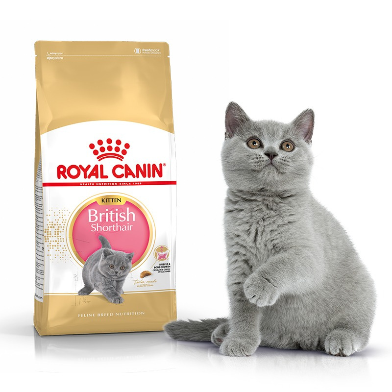 Royal canin kitten british best sale shorthair 10kg