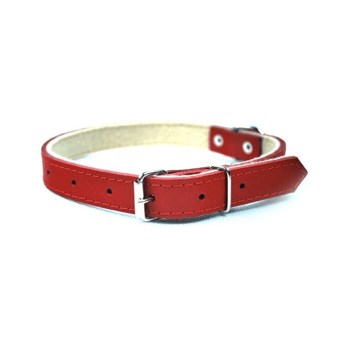 Chaba Lederhalsband rot 30mm/70cm