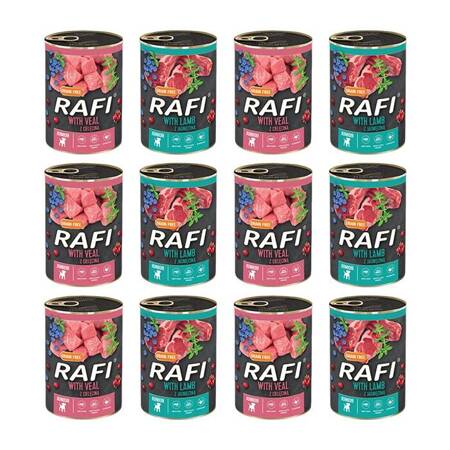 Dolina Noteci Rafi Junior Geschmacksmischung 12x400g