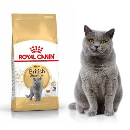 Royal Canin British Shorthair 4 kg