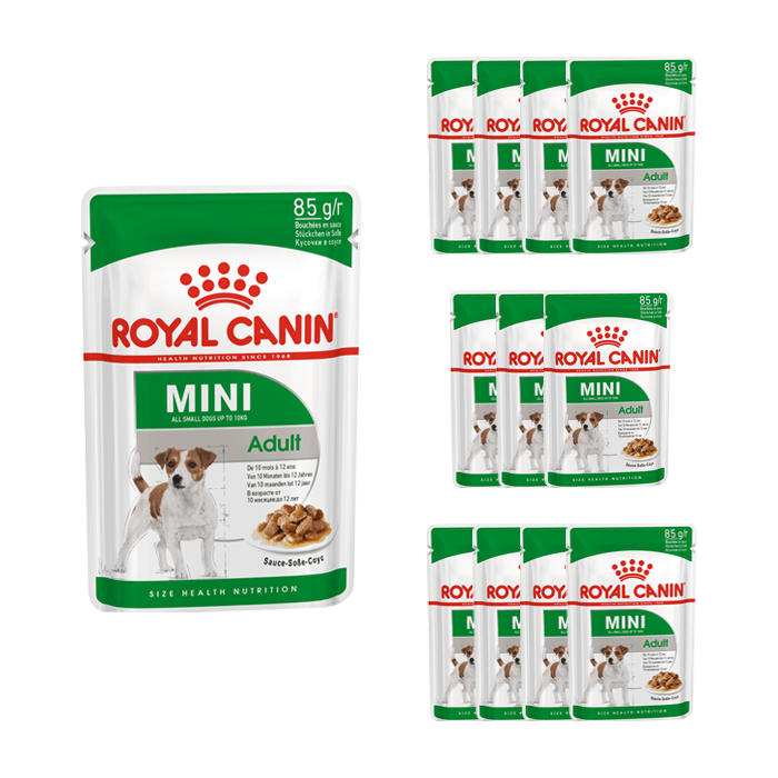 Royal Canin Mini Adult 12x85g