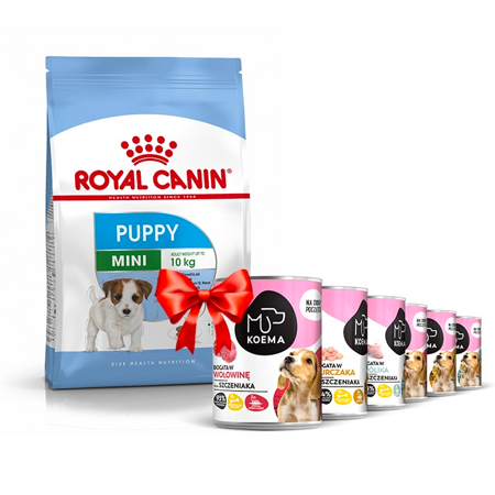 Royal Canin Mini Puppy 8kg + Koema Junior Mischung aus 3 Geschmacksrichtungen 6x400g