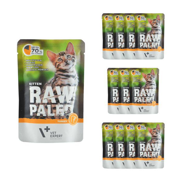 VetExpert Raw Paleo Kitten Turkey 100g x 12