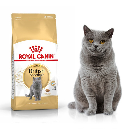 Royal Canin British Shorthair 400g