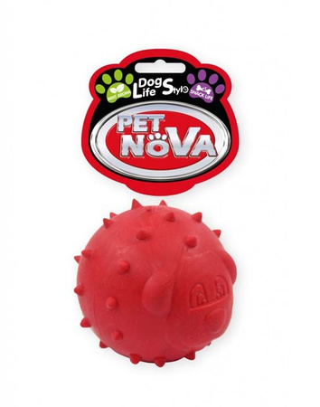 Pet Nova Leckerlibal SnackBall mit Minze rot 6,5cm