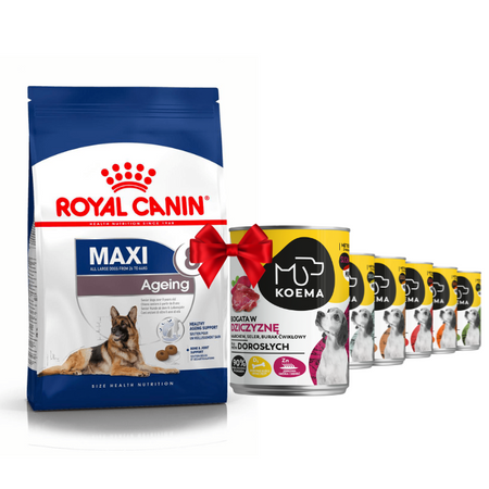 Royal Canin Maxi Ageing 8+ 15kg + Koema 90% Fleisch Mischung aus 6 Geschmacksrichtungen 6x400g